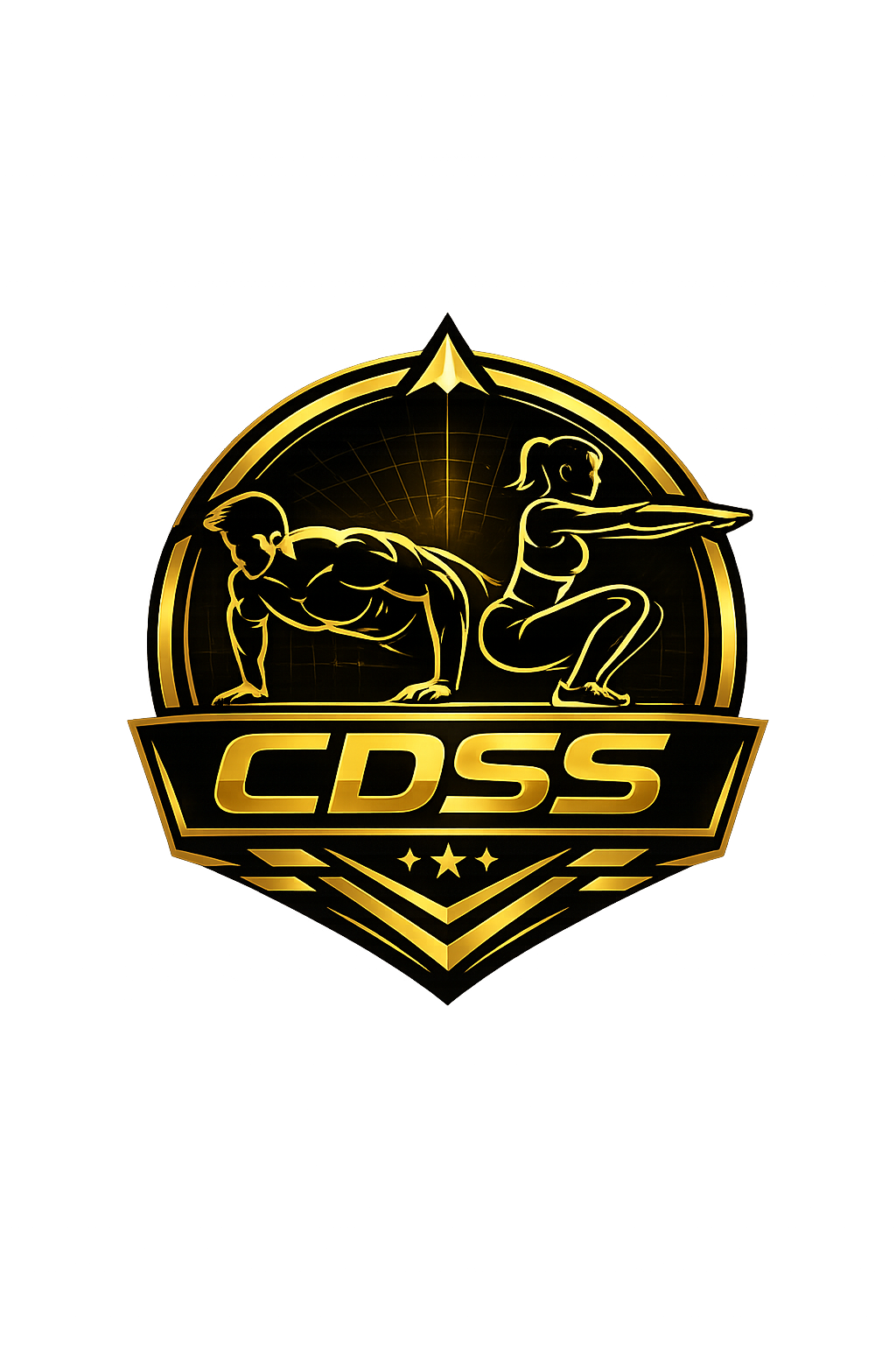 CDSS logo